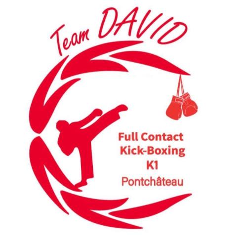 Logo Team david full kick boxing